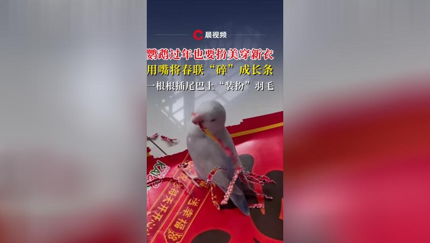 澳门六开奖历史记录查询,吒儿感谢成龙叔叔的鼓励,精准解释落实的人生哲理_权威版V9.36
