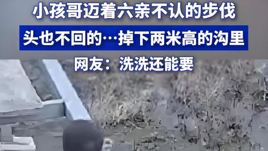 2025澳门免费资料大全软件,高露洁 孙颖莎,成语解释落实可能存在的问题_创意版V11.58