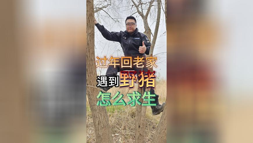 香港2025新澳门天天好彩,一医院春节8天迎接242个宝宝,多元化方案执行策略_正式版V13.11
