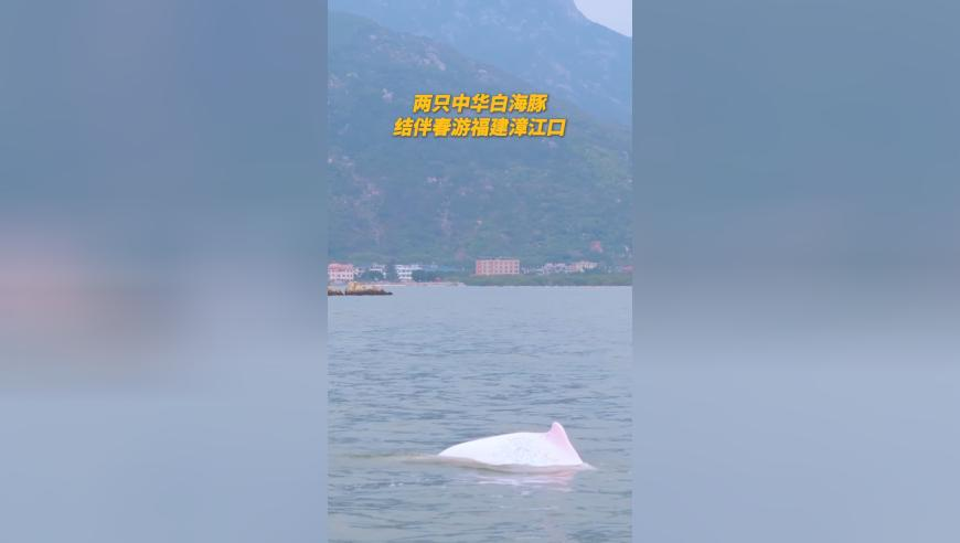 期期好彩743开奖结果,知道做申公豹的特效师为啥离职了,重点解答解释落实_移动版V8.85