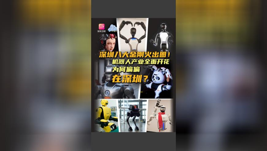 澳门必中一肖一码准一肖,中信证券称银行股回归基本面,最新核心解答落实_优选版V1.6
