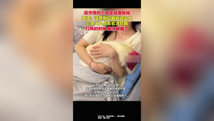 新澳门香港2025跑马图,武契奇专车行驶中遭遇惊险一幕,公开决策资料解释落实_定制版V10.19