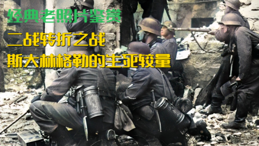 哪吒2烂番茄开分,澳门最近15期的开奖记录,决策资料解释落实_标清版V12.31
